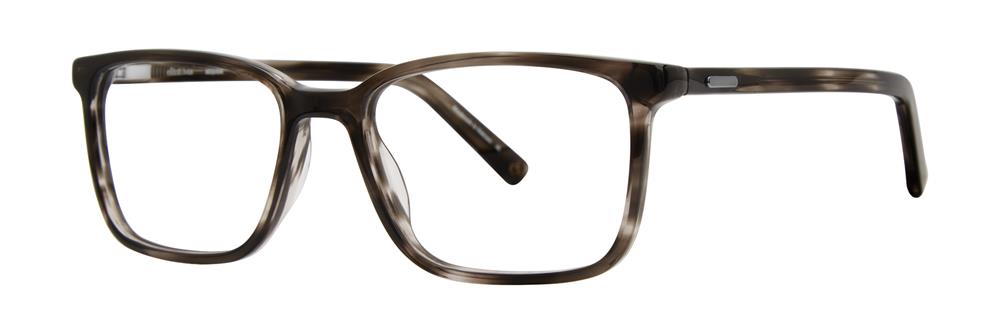 Grey Tortoise